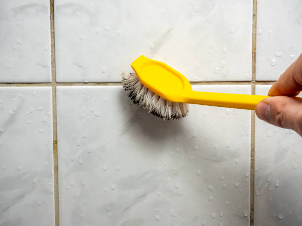 Best Fast Mold Removal  in Callaway, FL