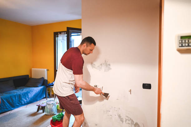 Best Toxic Mold Removal  in Callaway, FL